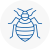 Bed Bug Extermination In Jarrow